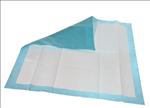 Extrasorbs Cloth-like Disposable DryPads; MUST CALL TO ORDER